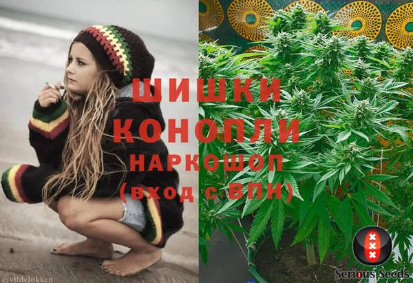 спайс Нея