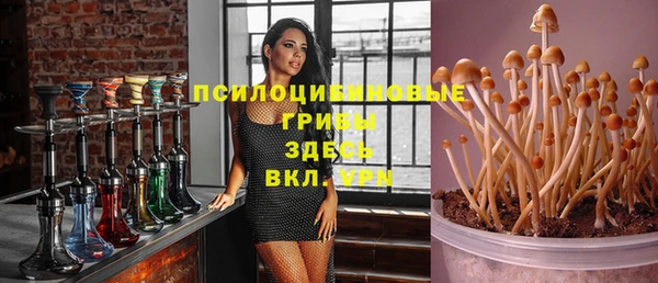 марки nbome Новозыбков