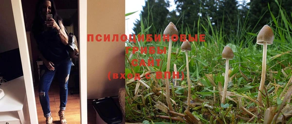 спайс Нея
