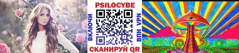 Псилоцибиновые грибы Psilocybine cubensis сколько стоит Неман