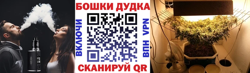 Каннабис гибрид  где продают наркотики  Неман 